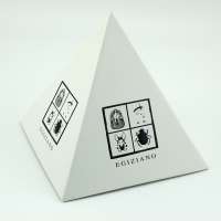 BSCI, FSC New style triangle box packaging